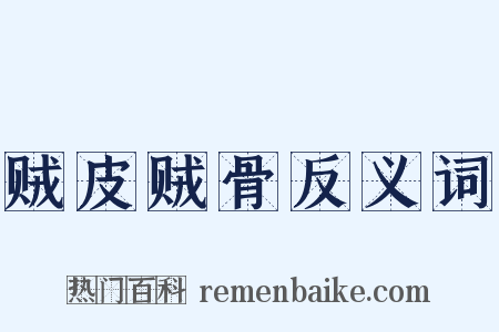 贼皮贼骨反义词是什么意思的图片